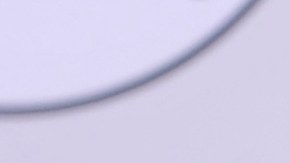 Anuel disfruta su faceta de papá y compartió varias fotos junto a sus hijos