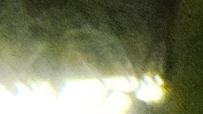 Agentes federales realizaron la redada contra el Cártel de Sinaloa y organizaciones bancarias clandestinas chinas.