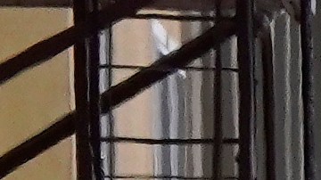 Con la participación de bandas, artistas, vendedores de artículos diversos, comida y bebidas.