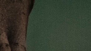 México vivió la "elección más violenta" de su historia