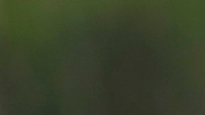 El expresidente Biden gana terreno entre latinos en estados clave.