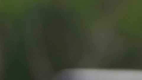 El expresidente Biden gana terreno entre latinos en estados clave.