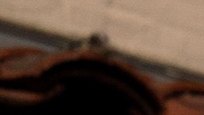 Photographer Carolina Hernandez, 39, sits for a photo next to a stuffed donkey, a photo prop named George, at her kiosk on Olvera Street in Los Angeles, Friday, June 4, 2021. As Latinos in California have experienced disproportionately worse outcomes from COVID-19, so too has Olvera Street. The shops lining the narrow brick walkway rely heavily on participants at monthly cultural celebrations, downtown office workers dining out, school field trips and Dodger baseball fans loading up on Mexican food before or after games. But the coronavirus killed tourism, kept office workers and pupils at home, cancelled events and kept fans from sporting events. (AP Photo/Jae C. Hong)