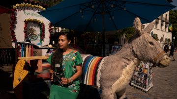 Photographer Carolina Hernandez, 39, sits for a photo next to a stuffed donkey, a photo prop named George, at her kiosk on Olvera Street in Los Angeles, Friday, June 4, 2021. As Latinos in California have experienced disproportionately worse outcomes from COVID-19, so too has Olvera Street. The shops lining the narrow brick walkway rely heavily on participants at monthly cultural celebrations, downtown office workers dining out, school field trips and Dodger baseball fans loading up on Mexican food before or after games. But the coronavirus killed tourism, kept office workers and pupils at home, cancelled events and kept fans from sporting events. (AP Photo/Jae C. Hong)