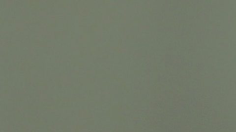 "Gonzo" Pineda dejó su cargo como DT de Atlanta United.