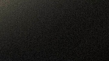 Con este programa, los refugiados que llenen ciertos requisitos pueden ser auspiciados y llegar a obtener la residencia y la ciudadanía.