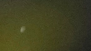 Raphinha es una de las principales figuras de la Selección de Brasil que disputará la Copa América 2024.