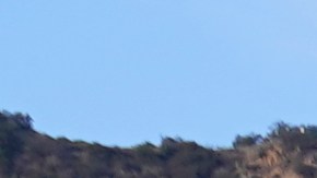 People enjoy the hot weather at the Lake Hollywwod Park as workers transform the iconic Hollywood sign to read "Rams House" in Los Angeles on Monday, Feb. 14, 2022. The Hollywood Chamber of Commerce and the Hollywood Sign Trust allowed for making the change to celebrate the Los Angeles Rams' Super Bowl championship. The altered sign is expected to stay up through Wednesday. (AP Photo/Damian Dovarganes)