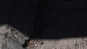 Violencia en Michoacán