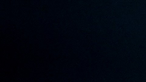 Uso de inteligencia artificial buscaría atender la violencia de género en México
