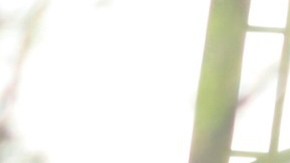 México halla los primeros cuerpos tras el colapso en 2006 de la mina Pasta de Conchos