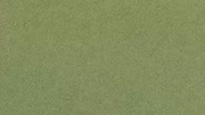 Hirving Lozano y Gerardo Martino en la selección mexicana.