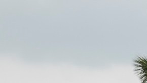 El secretario de Seguridad Nacional, Alejandro Mayorkas (segundo derecha) acudió a la frontera este miércoles.