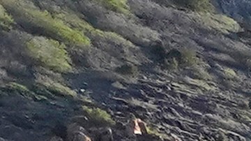 Niño de 12 años murió tras caer a un río Utah mientras estaba de vacaciones con su familia
