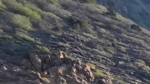 Niño de 12 años murió tras caer a un río Utah mientras estaba de vacaciones con su familia