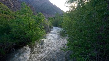 Niño de 12 años murió tras caer a un río Utah mientras estaba de vacaciones con su familia