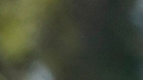 A street vendor selling snow cones tends to a customer at a street corner near MacArthur Park, Tuesday, July 11, 2023, in Los Angeles. (AP Photo/Marcio Jose Sanchez)