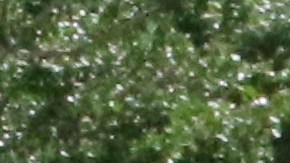 Violencia en México le costó 245,000 millones de dólares en 2023