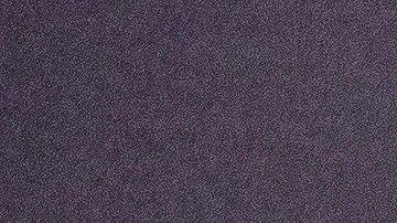 Sofía Vergara reveló que no tiene intención de cubrir su tatuaje por Joe Manganiello