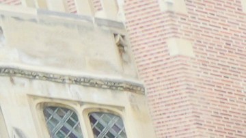 Police officers face off against pro-Palestinian protesters on the campus of UCLA on Thursday, May 23, 2024, in Los Angeles. (AP Photo/Damian Dovarganes)