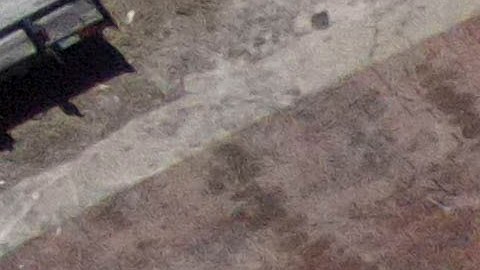 Un niño murió aplastado por un árbol que cayó sobre su casa durante el tornado de Michigan
