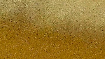 Trump dio a conocer en detalle su posición sobre el derecho al aborto.