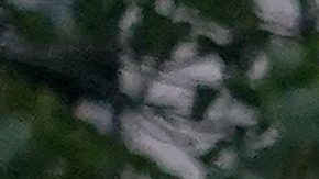 Un impresionante operativo de seguridad detuvo a 53 personas e impidió que varios más ingresaran de forma ilegal al estadio.