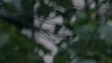 Un impresionante operativo de seguridad detuvo a 53 personas e impidió que varios más ingresaran de forma ilegal al estadio.