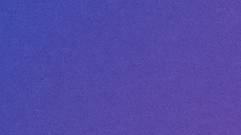 Real Madrid's Joselu celebrates with the trophy after winning the Champions League final soccer match between Borussia Dortmund and Real Madrid at Wembley stadium in London, Saturday, June 1, 2024. (AP Photo/Kirsty Wigglesworth)