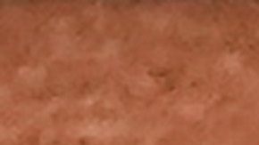 El serbio buscaba revalidar su campeonato.