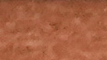 El serbio buscaba revalidar su campeonato.