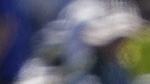 Estados Unidos festeja su victoria sobre Pakistán.