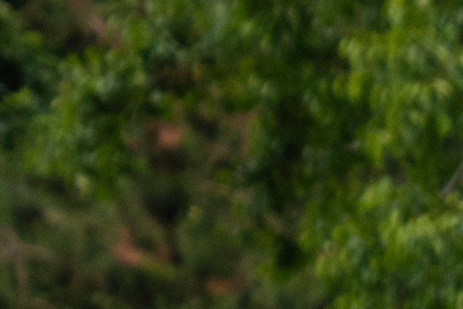 El presidente Joe Biden y la primera dama Jill Biden depositan una ofrenda floral en el cementerio americano de Normandía tras una ceremonia para conmemorar el 80 aniversario del Día D.