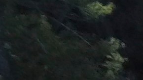 Se derrumbó parte de la carretera Teton Pass de Wyoming, una importante conexión turística con Idaho