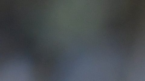 Messi jugará su séptima Copa América.
