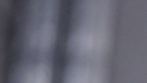 Firerose, esposa de Billy Ray Cyrus, revela secretos escandalosos sobre su matrimonio