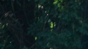 Exconvicto mató a una persona tras secuestrar un autobús con 17 pasajeros en Atlanta