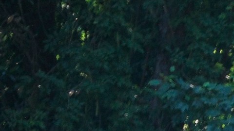 Exconvicto mató a una persona tras secuestrar un autobús con 17 pasajeros en Atlanta