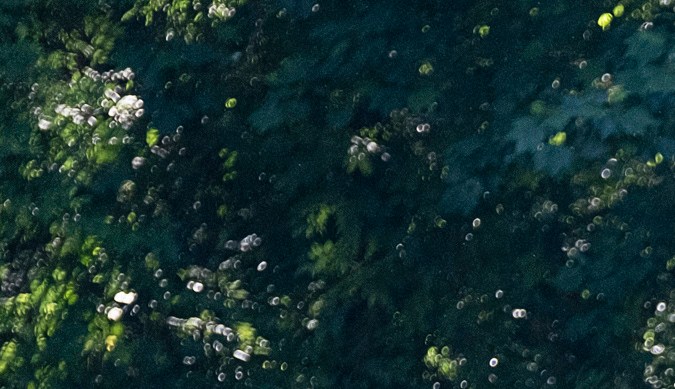 Exconvicto mató a una persona tras secuestrar un autobús con 17 pasajeros en Atlanta