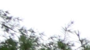 El presunto pistolero, Jonathon Gounaris, también resultó herido y fue operado en un hospital local, según un comunicado publicado en Facebook por el Departamento del Sheriff del condado de Ogle.