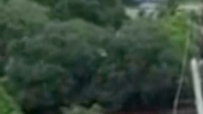 Florida espera más lluvias mientras millones de personas permanecen bajo alerta de inundaciones