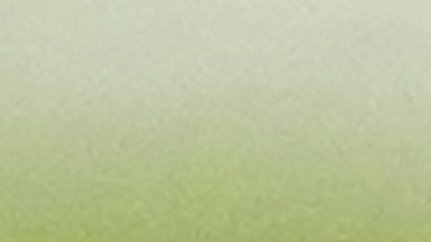 Este martes podríamos ver el esperado debut de Cristiano Ronaldo en la Eurocopa 2024.