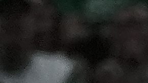 Boston Celtics forward Jayson Tatum, center, celebrates with to Celtics co-owner Stephen Pagliuca, center right, near the Larry O'Brien Championship Trophy after the Celtics won the NBA championship with a Game 5 victory over the Dallas Mavericks on Monday, June 17, 2024, in Boston. (AP Photo/Charles Krupa)