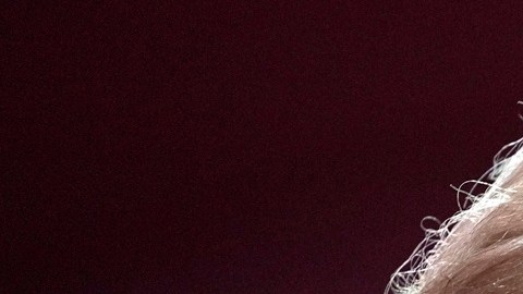 El expresidente Donald Trump fue criticado por su sobrina Mary Trump.