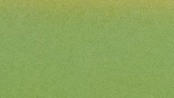 Mexico's Edson Alvarez grimaces in pain during a Copa America Group B soccer match against Jamaica in Houston, Texas, Saturday, June 22, 2024. (AP Photo/David J. Phillip)