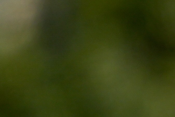 Ante la ausencia de Neymar, Vinícius Júnior está llamado a ser la gran figura de la Selección de Brasil en esta Copa América Estados Unidos 2024.