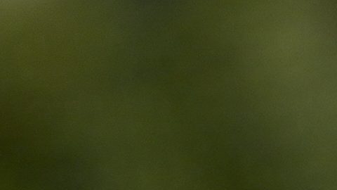 Vinícius Jr. durante un entrenamiento de Brasil.