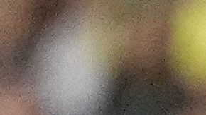 Gustavo Alfaro le da indicaciones a sus jugadores durante el partido contra Brasil.