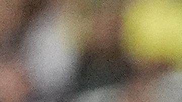 Gustavo Alfaro le da indicaciones a sus jugadores durante el partido contra Brasil.