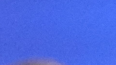 Mexico coach Jaime Lozano talks to Gerardo Arteaga during a Copa America Group B soccer match Wednesday, June 26, 2024, in Inglewood, Calif. (AP Photo/Mark J. Terrill)